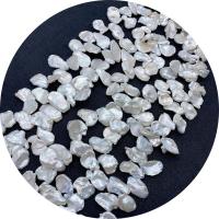Koraliki Keishi z hodowlanych pereł słodkowodnych, Perła naturalna słodkowodna, Płatki, obyty, DIY, biały, 12x15-15x22mm, sprzedawane na około 14.96 cal Strand