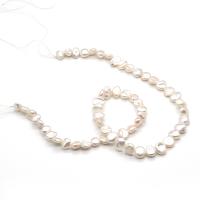 Keishi kultivované sladkovodní perle, Sladkovodní Pearl, Flat Round, lesklý, DIY, bílý, 8-9mm, Prodáno za Cca 14.96 inch Strand