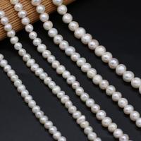 Okrugli Kulturan Slatkovodni Pearl perle, Prirodno & možete DIY & različite veličine za izbor, bijel, Prodano Per 36-40 cm Strand