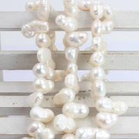 Keishi Tenyésztett édesvízi gyöngy Gyöngyök, Édesvízi gyöngy, természetes, DIY, fehér, 7x10mm, Naponta eladott Kb 14.96 inch Strand