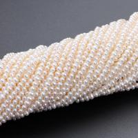 Knapp odlad sötvattenspärla pärlor, Freshwater Pearl, DIY & olika storlek för val, vit, Såld Per Ca 14.96 inch Strand