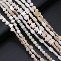 Naturlig Freshwater Shell Perler, du kan DIY & forskellig størrelse for valg, Solgt Per Ca. 14-15 inch Strand