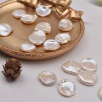 Natural Freshwater Pearl Loose Beads DIY & no hole white Sold By PC