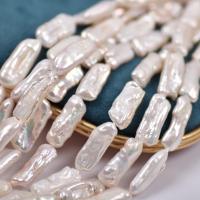Biwa Kulturan Slatkovodni Pearl perle, Barok, prirodan, možete DIY, bijel, 15-20mm, Prodano Per Približno 14.97 inčni Strand