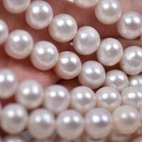 Apvalūs Kultūringas gėlavandenių perlų karoliukai, Gėlo vandens perlų, Turas, natūralus, Pasidaryk pats, baltas, 11-12mm, Parduota už Apytiksliai 14.96 Inch Strand