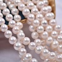 Apvalūs Kultūringas gėlavandenių perlų karoliukai, Gėlo vandens perlų, Turas, natūralus, Pasidaryk pats, baltas, 11-12mm, Parduota už Apytiksliai 38-40 cm Strand