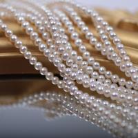 Apvalūs Kultūringas gėlavandenių perlų karoliukai, Gėlo vandens perlų, Turas, natūralus, Pasidaryk pats, baltas, 2.5-3mm, Parduota už 36-38 cm Strand