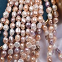 Knapp odlad sötvattenspärla pärlor, Freshwater Pearl, naturlig, DIY, blandade färger, 9-10mm, Såld Per Ca 36-38 cm Strand