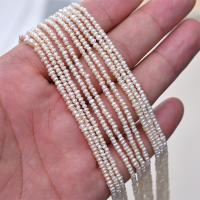 Cultured Button Freshwater Pearl Beads natural & DIY Sold By Strand