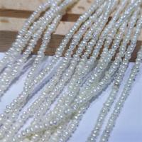 Knapp odlad sötvattenspärla pärlor, Freshwater Pearl, naturlig, DIY, vit, 2.5-3mm, Såld Per Ca 15 inch Strand