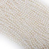 Cultured Rice Freshwater Pearl Beads natural DIY white 3-3.5mm Sold Per Approx 15 Inch Strand