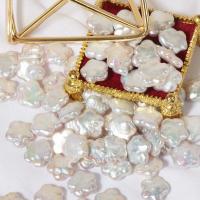 Přírodní sladkovodní perly perlí, Sladkovodní Pearl, Kvetoucí švestka, DIY & bez otvoru, bílý, 13mm, Prodáno By PC