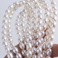 Cultured Rice Freshwater Pearl Beads DIY Sold Per Approx 14-15 Inch Strand
