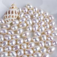 Natural Freshwater Pearl Loose Beads Rice DIY Sold By PC