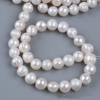 Tlačítko kultivované sladkovodní Pearl Beads, DIY, bílý, 7-8mm, Otvor:Cca 2mm, Prodáno za Cca 13 inch Strand