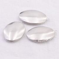 Fashion Locket Pendants 316 Stainless Steel polished fashion jewelry & DIY & Unisex original color Sold By PC
