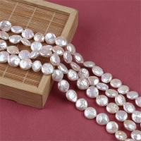 Coin ferskvandskulturperle Beads, Ferskvandsperle, du kan DIY, hvid, 10-12mm, Solgt Per Ca. 14-15 inch Strand