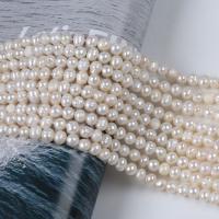 Brambor pěstované sladkovodní perle, Sladkovodní Pearl, DIY, bílý, 5-6mm, Prodáno za Cca 14-15 inch Strand