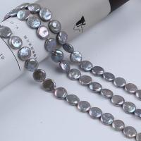 Coin odlad sötvattenspärla pärlor, Freshwater Pearl, DIY, grå, 14-14.5mm, Såld Per Ca 14-15 inch Strand