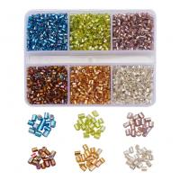 Srebrna Lined Staklo sjeme perli, Staklene perle, s Plastična kutija, srebro-postrojilo, možete DIY, miješana boja, nikal, olovo i kadmij besplatno, 82x63x15mm, Približno 3900računala/Okvir, Prodano By Okvir