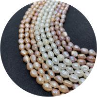 Keishi ferskvandskulturperle Beads, Ferskvandsperle, Uregelmæssig, poleret, du kan DIY & forskellig størrelse for valg, flere farver til valg, Solgt Per Ca. 14.96 inch Strand