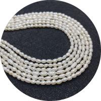 Cultured Rice Freshwater Pearl Beads polished DIY white 3-4mm Sold Per Approx 14.96 Inch Strand