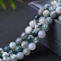 Tree Agate Beads Round polished Sold Per Approx 14.96 Inch Strand