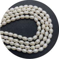 Cultured Rice Freshwater Pearl Beads polished DIY white Sold Per Approx 14.96 Inch Strand