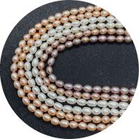 Cultured Rice Freshwater Pearl Beads polished DIY Sold Per Approx 14.96 Inch Strand