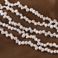 Bulvių išauginti gėlavandenių perlų karoliukai, Gėlo vandens perlų, Barokas, Pasidaryk pats, baltas, 6-7mm, Parduota už Apytiksliai 15 Inch Strand