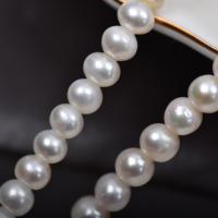 Apvalūs Kultūringas gėlavandenių perlų karoliukai, Gėlo vandens perlų, Turas, Pasidaryk pats & didelė skylė, baltas, 7-8mm, Parduota už Apytiksliai 36-38 cm Strand