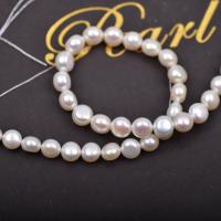 Přírodní sladkovodní perly perlí, Sladkovodní Pearl, Kolo, DIY, bílý, 8mm, Prodáno za 36-38 cm Strand