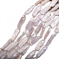 Biva Kultūringas gėlavandenių perlų karoliukai, Gėlo vandens perlų, Nereguliarus, Pasidaryk pats, baltas, 8x20mm, Parduota už Apytiksliai 38-40 cm Strand