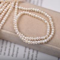 Přírodní sladkovodní perly perlí, Sladkovodní Pearl, Flat Round, DIY, bílý, 4-4.5mm, Prodáno za Cca 39.99 cm Strand
