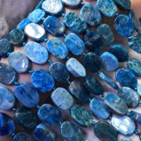 Apatite Perle, Rechteck, poliert, DIY, blau, 13x18mm, verkauft per ca. 38 cm Strang