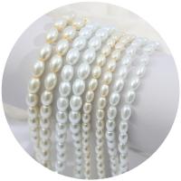 ガラス真珠ビーズ, ガラスパール, 楕円, DIY & 異なるサイズの選択, 無色, で販売される 約 32.65 インチ ストランド