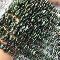 Seraphinite Beads polished DIY green 12mm Sold Per Approx 38 cm Strand