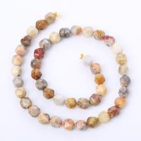 Prirodni Crazy ahat perle, Crazy Agate, Krug, uglađen, Star Cut Faceted & možete DIY & različite veličine za izbor, miješana boja, Prodano Per Približno 14.96 inčni Strand