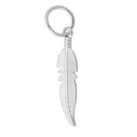 Zinc Alloy Feather Pendants silver color plated DIY silver color nickel lead & cadmium free Approx 6mm Sold By PC