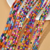 Contas de conchas coloridas naturais, Shell Pearl, DIY & Vario tipos a sua escolha, cores do arco íris, vendido por Strand