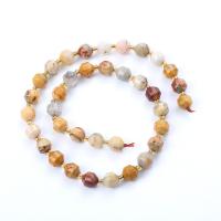 Prirodni Crazy ahat perle, Crazy Agate, Krug, uglađen, možete DIY & različite veličine za izbor & faceted, miješana boja, Prodano Per Približno 14.96 inčni Strand