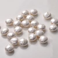 Muschelkern Perle, DIY, 13mm, Bohrung:ca. 0.5mm, verkauft von PC