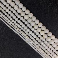 Freshwater Shell Bead, Runde, du kan DIY & forskellig størrelse for valg, hvid, Solgt Per Ca. 38 cm Strand