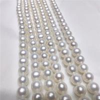 Cultured Round Freshwater Pearl Beads DIY white 7-8mm Sold Per Approx 40 cm Strand
