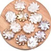 Přírodní sladkovodní perly perlí, Sladkovodní Pearl, Baroko, DIY & bez otvoru, více barev na výběr, 23mm, Prodáno By PC