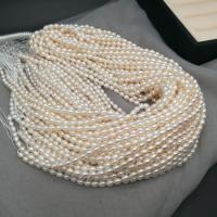 Perlas Arroz Freshwater, Perlas cultivadas de agua dulce, Bricolaje, Blanco, 3.3-3.8mm, Vendido para 14.37 Inch Sarta
