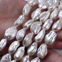 Perle perline rigenerate coltivate d'acquadolce , perla d'acquadolce coltivata naturalmente, Barocco, DIY & stili diversi per la scelta, 17-18mm, Venduto per Appross. 14-15 pollice filo