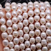 Perlas Arroz Freshwater, Perlas cultivadas de agua dulce, Bricolaje & diverso tamaño para la opción, Blanco, Vendido para aproximado 36-38 cm Sarta