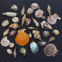 Shell Pendants with Brass gold color plated Unisex 15-55mm Sold By PC