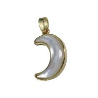 Natural White Shell Pendants with Brass Moon gold color plated white Sold By PC